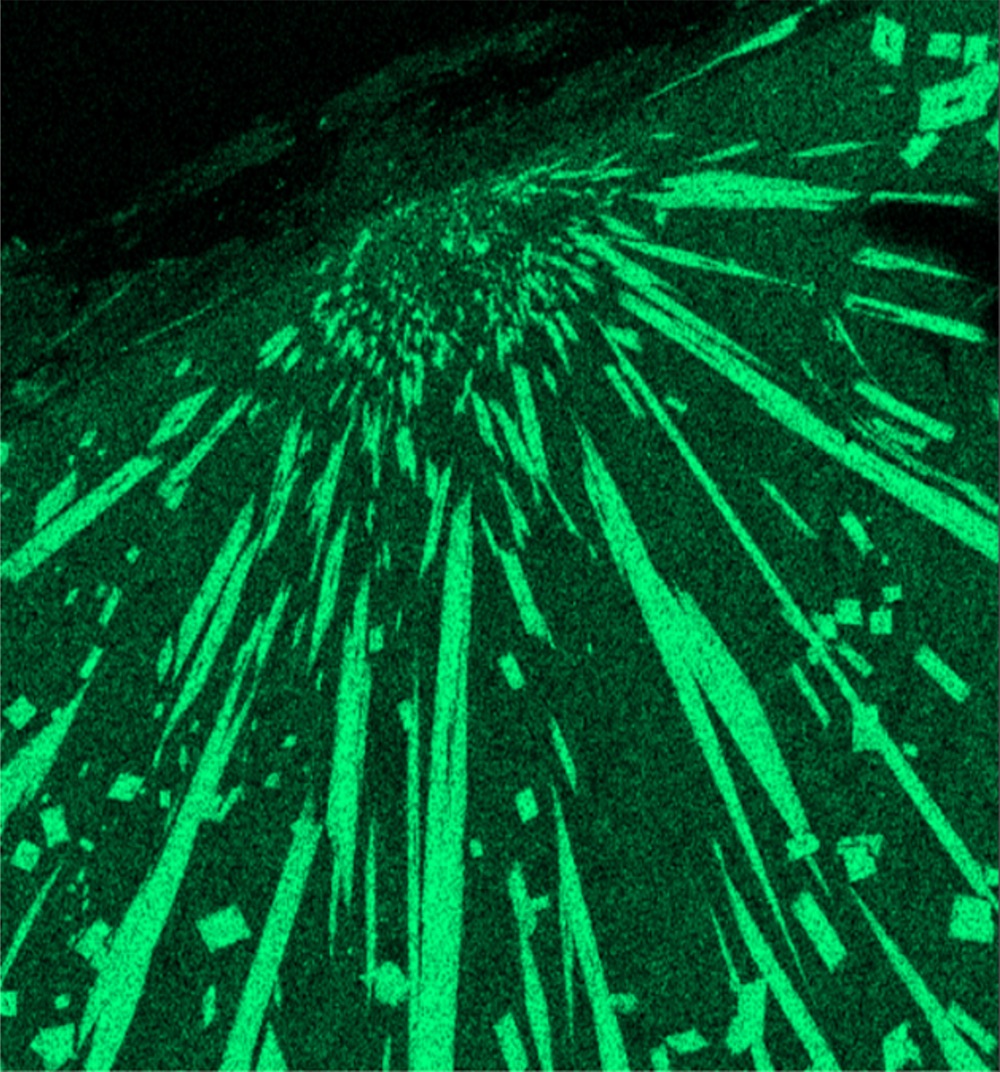 Did Ancient Earth-Chilling Meteor Crash Near Canada?